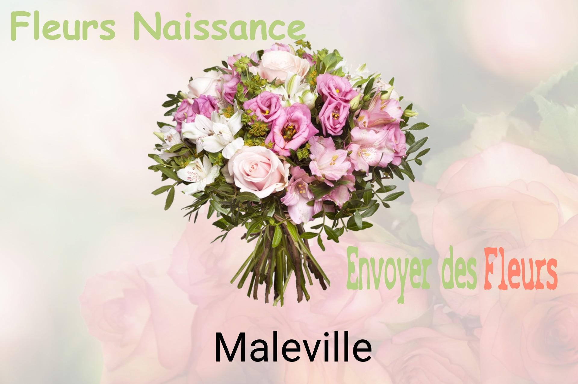 Bouquet de fleurs de naissance livré à Maleville