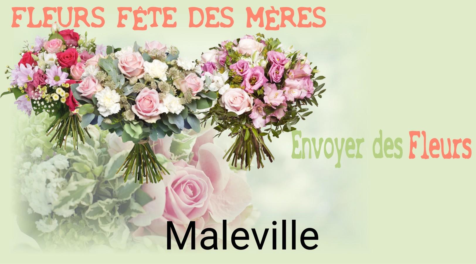 Bouquet de Fête des Mères livré à Maleville